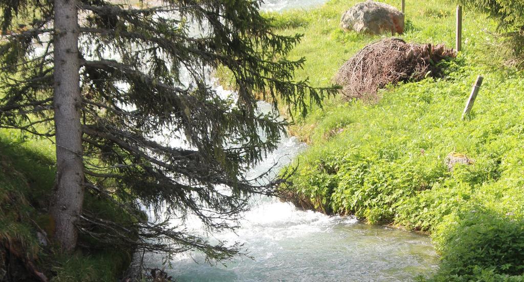 Sonnenhof Preda Hotel Kültér fotó