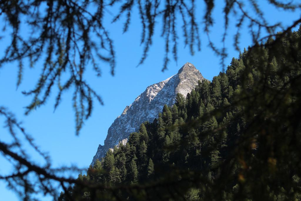 Sonnenhof Preda Hotel Kültér fotó