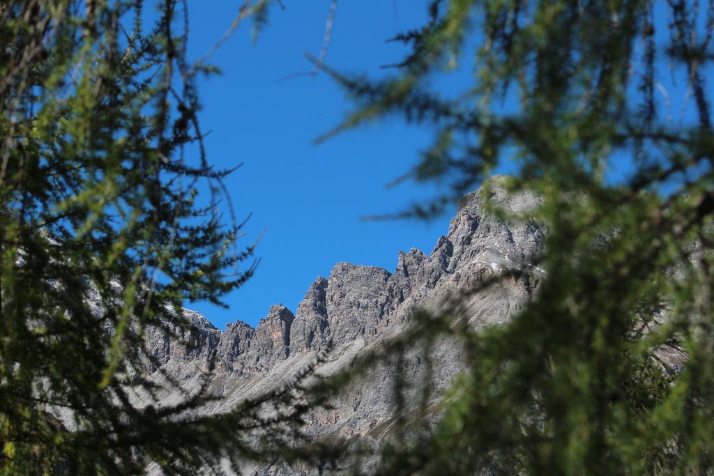 Sonnenhof Preda Hotel Kültér fotó